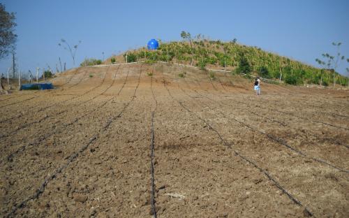 Panama - Drip Irrigation Installation